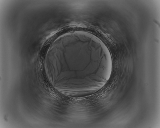 X0000096491303200802211228