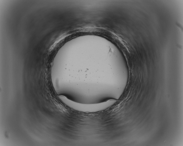 X0000096491304200802211228