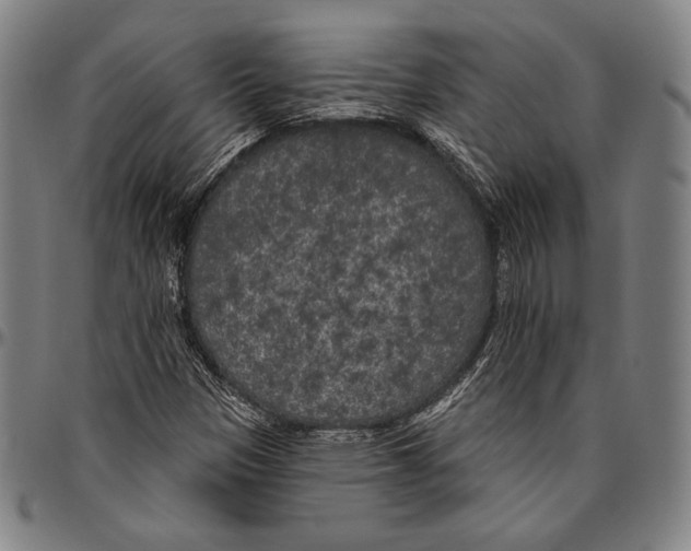 X0000096491305200802211228