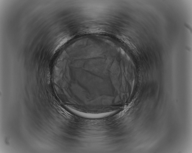 X0000096491306200802211228