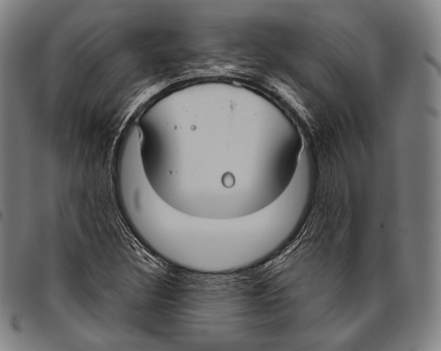 X0000096491308200802211228