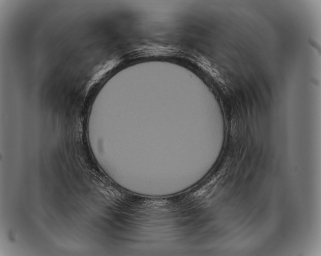 X0000096491309200802211228