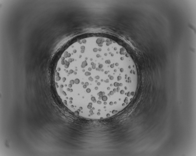 X0000096491311200802211228