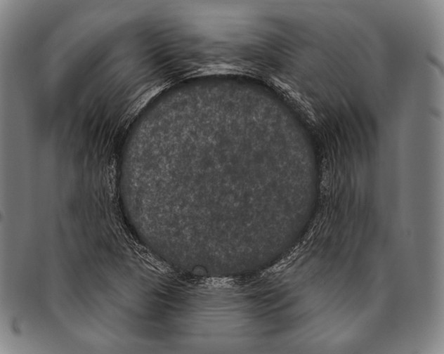 X0000096491313200802211228