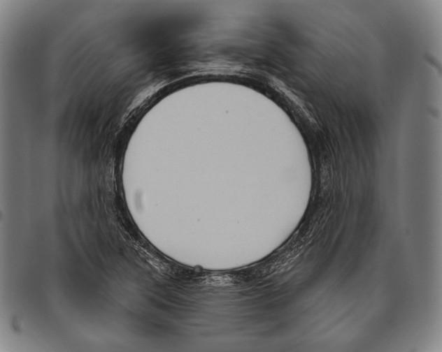 X0000096491315200802211228