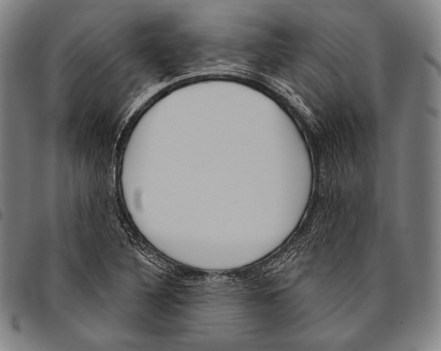 X0000096491316200802211228