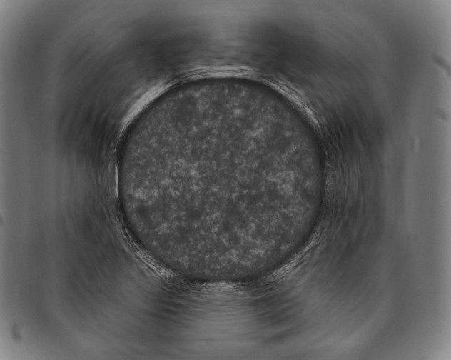 X0000096491317200802211228