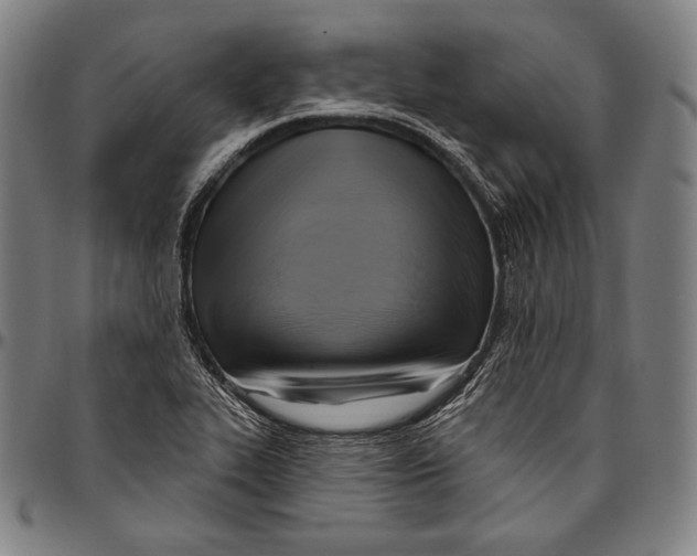 X0000096491319200802211228