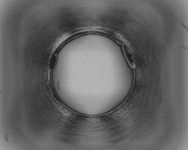 X0000096491320200802211228