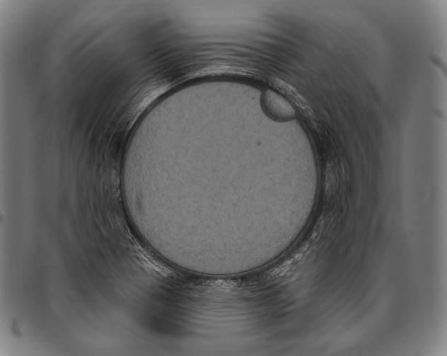 X0000096491321200802211228