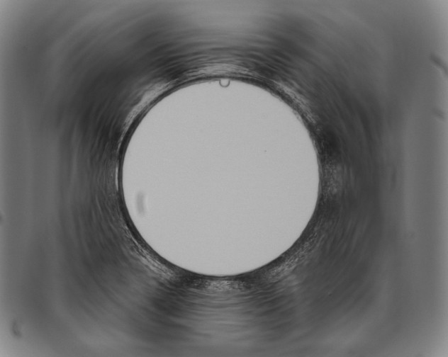 X0000096491322200802211228