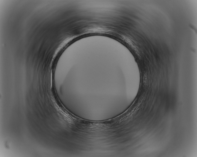 X0000096491323200802211228