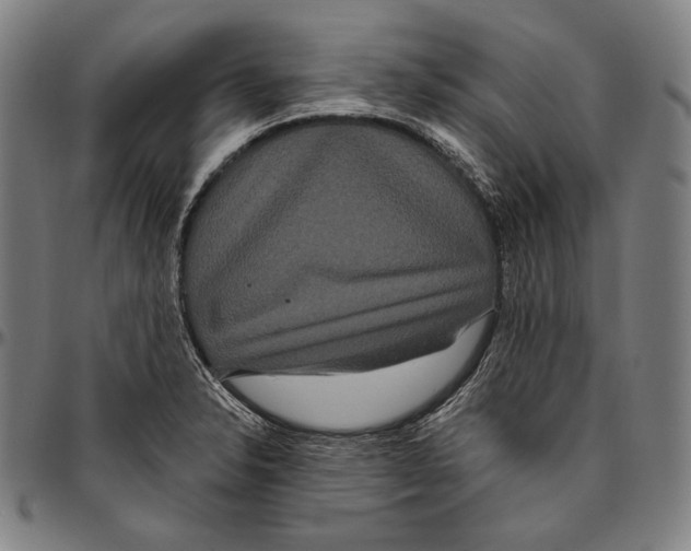 X0000096491326200802211228