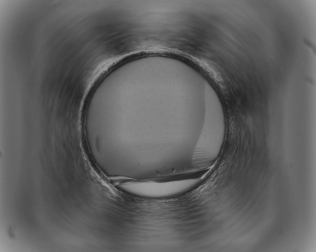 X0000096491327200802211228