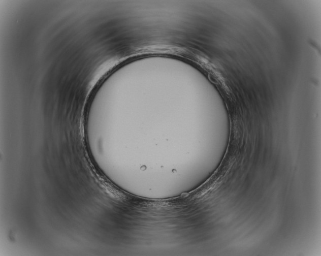 X0000096491328200802211228