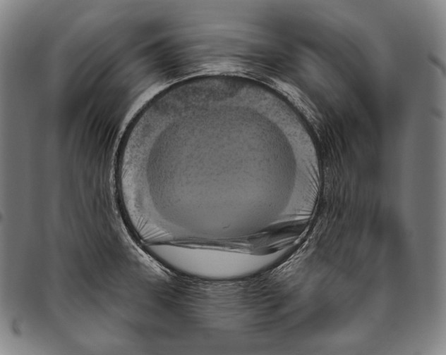 X0000096491331200802211228