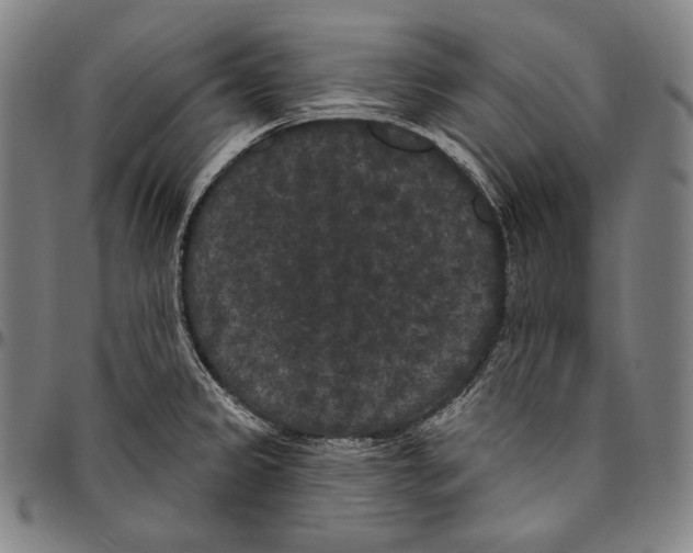 X0000096491333200802211228