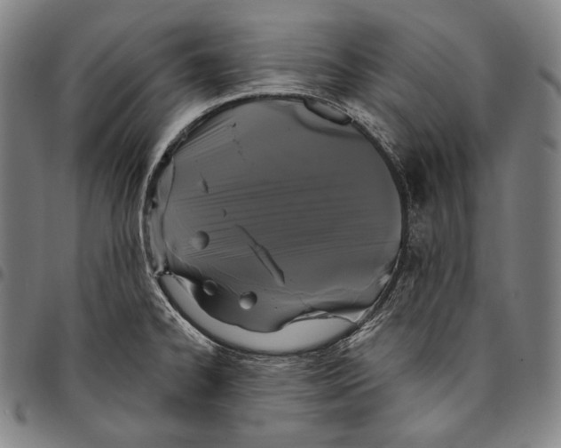 X0000096491334200802211228