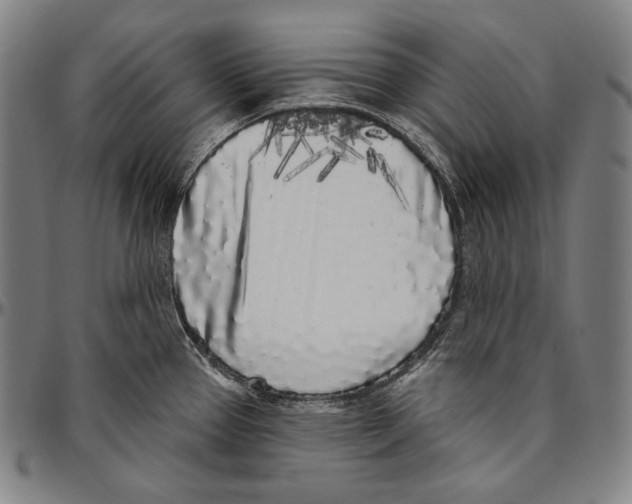 X0000096491337200802211228