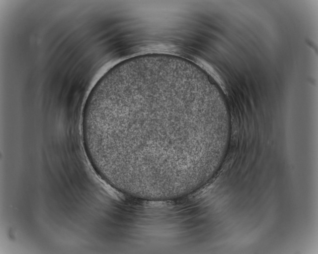 X0000096491339200802211229