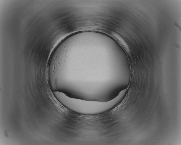 X0000096491340200802211229