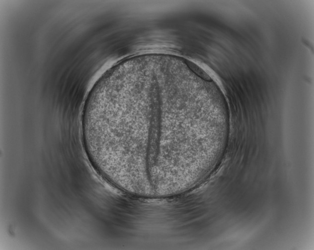 X0000096491341200802211229