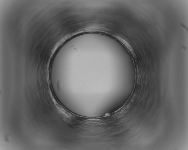 X0000096491342200802211229