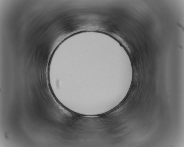 X0000096491343200802211229