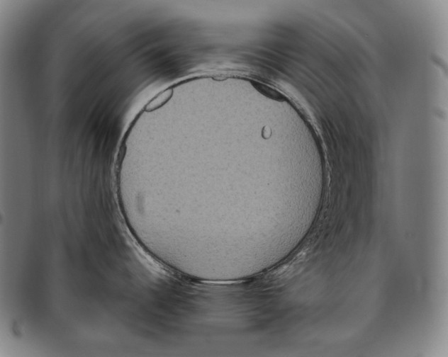 X0000096491344200802211229