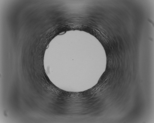 X0000096491345200802211228