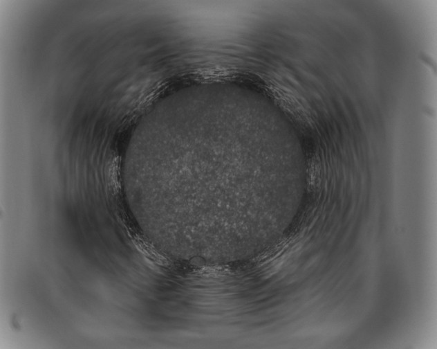 X0000096491346200802211228