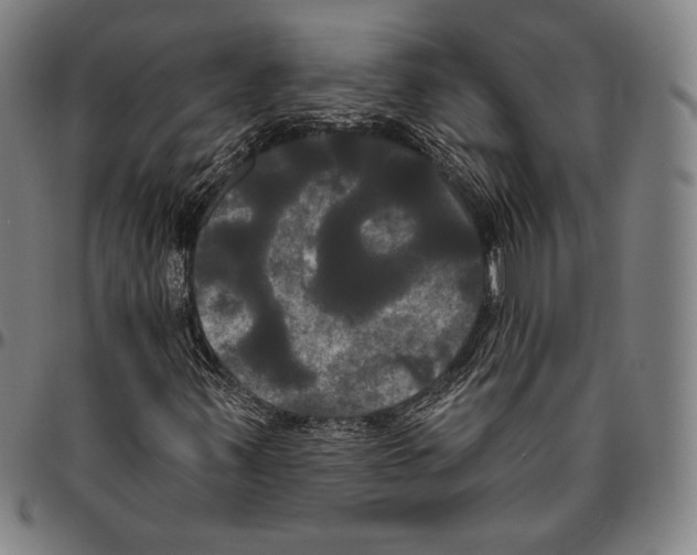 X0000096491347200802211228