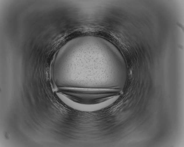 X0000096491348200802211228