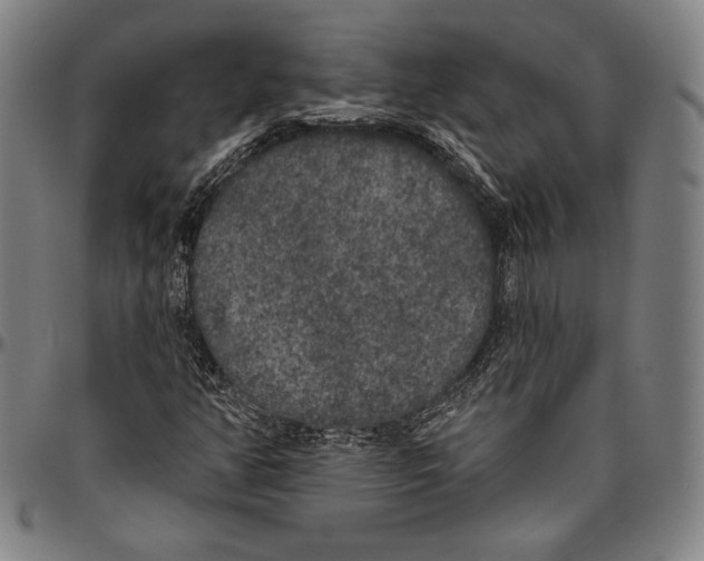 X0000096491350200802211228