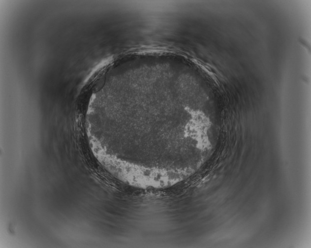 X0000096491351200802211228