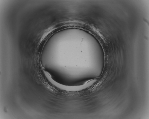 X0000096491352200802211228