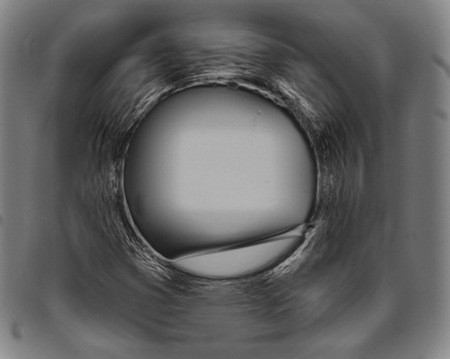 X0000096491353200802211228