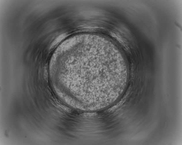 X0000096491354200802211228