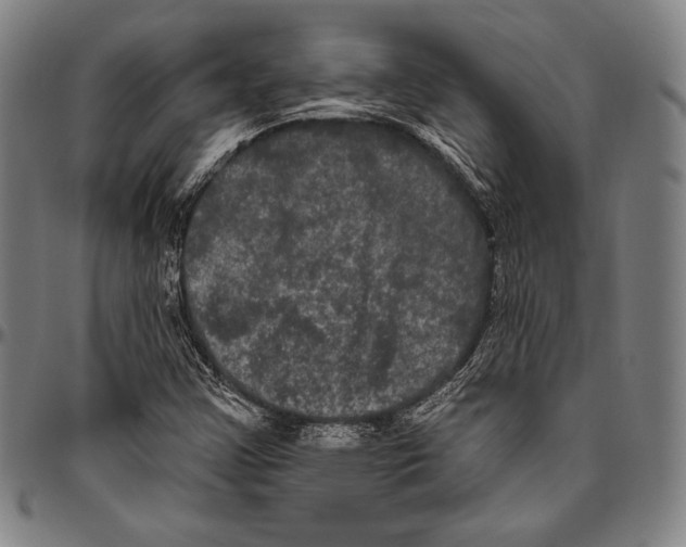 X0000096491355200802211228