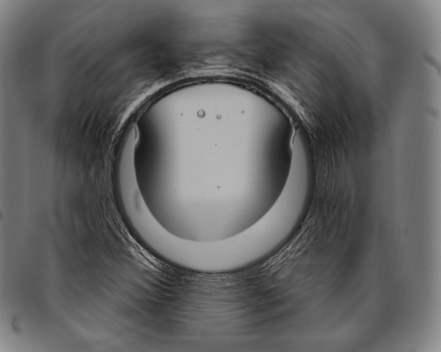 X0000096491356200802211228