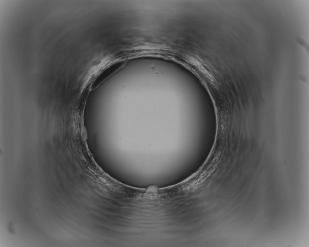 X0000096491357200802211228