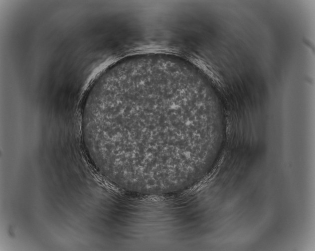 X0000096491358200802211228