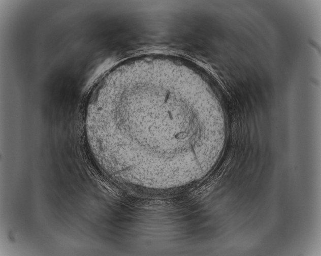 X0000096491359200802211228