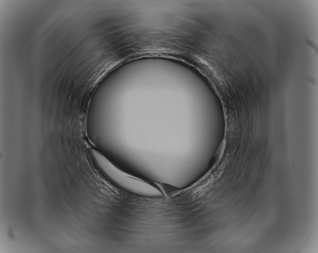 X0000096491361200802211228