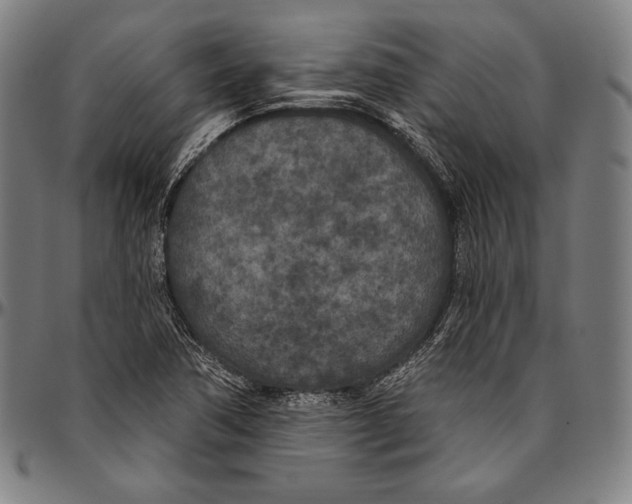 X0000096491362200802211228