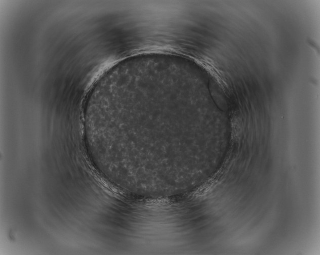 X0000096491363200802211228