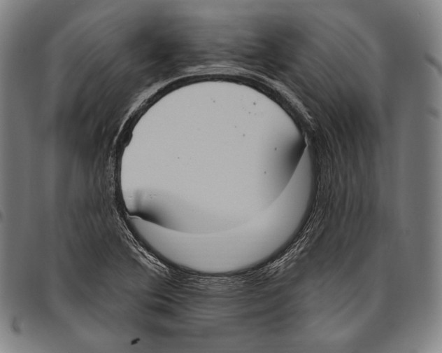 X0000096491364200802211228