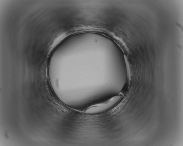 X0000096491365200802211228