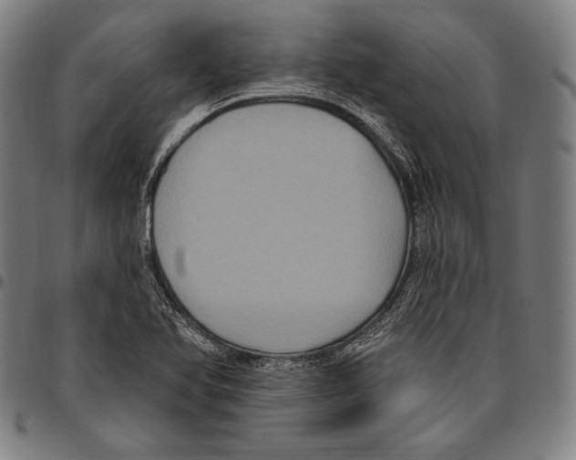 X0000096491366200802211228