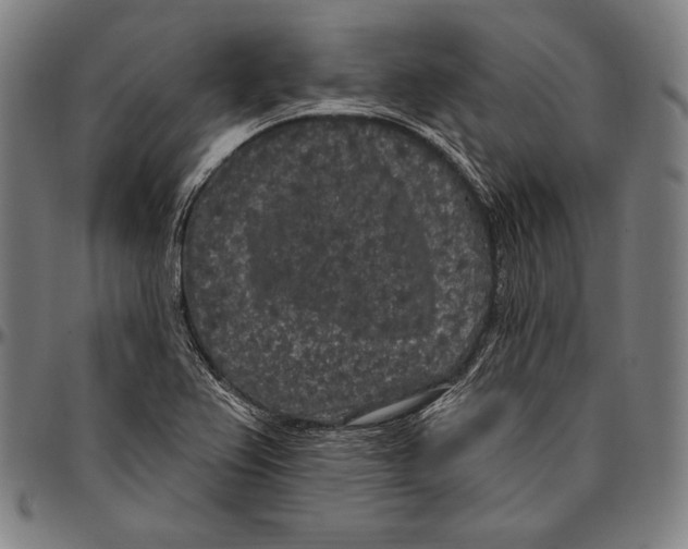 X0000096491367200802211228